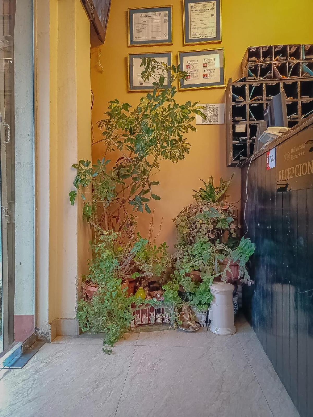 Hostal Terrabella Srl Λα Πας Εξωτερικό φωτογραφία
